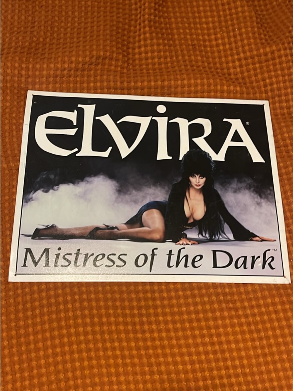 2007 Y2K Elvira Mistress of the Dark tin sign - Black & White Artwork